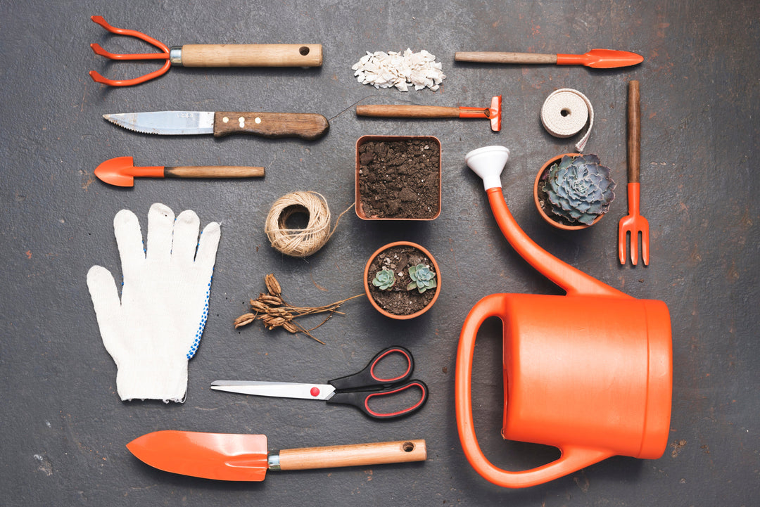 Best Garden Tools for Summer Prep