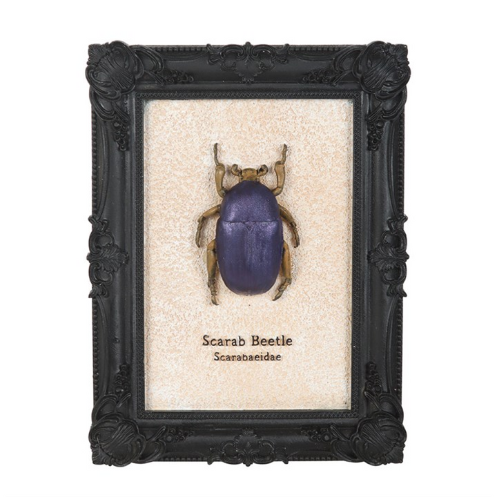 Scarab Beetle Framed Wall Art Print