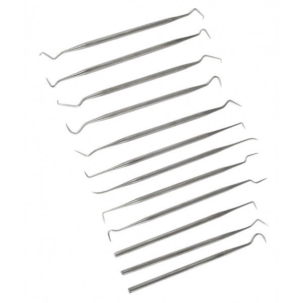 12 Piece Stainless Steel Probe Set by Rolson Tools