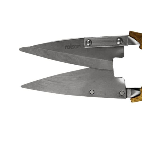 Stainless Steel Topiary Shears Ash Handle