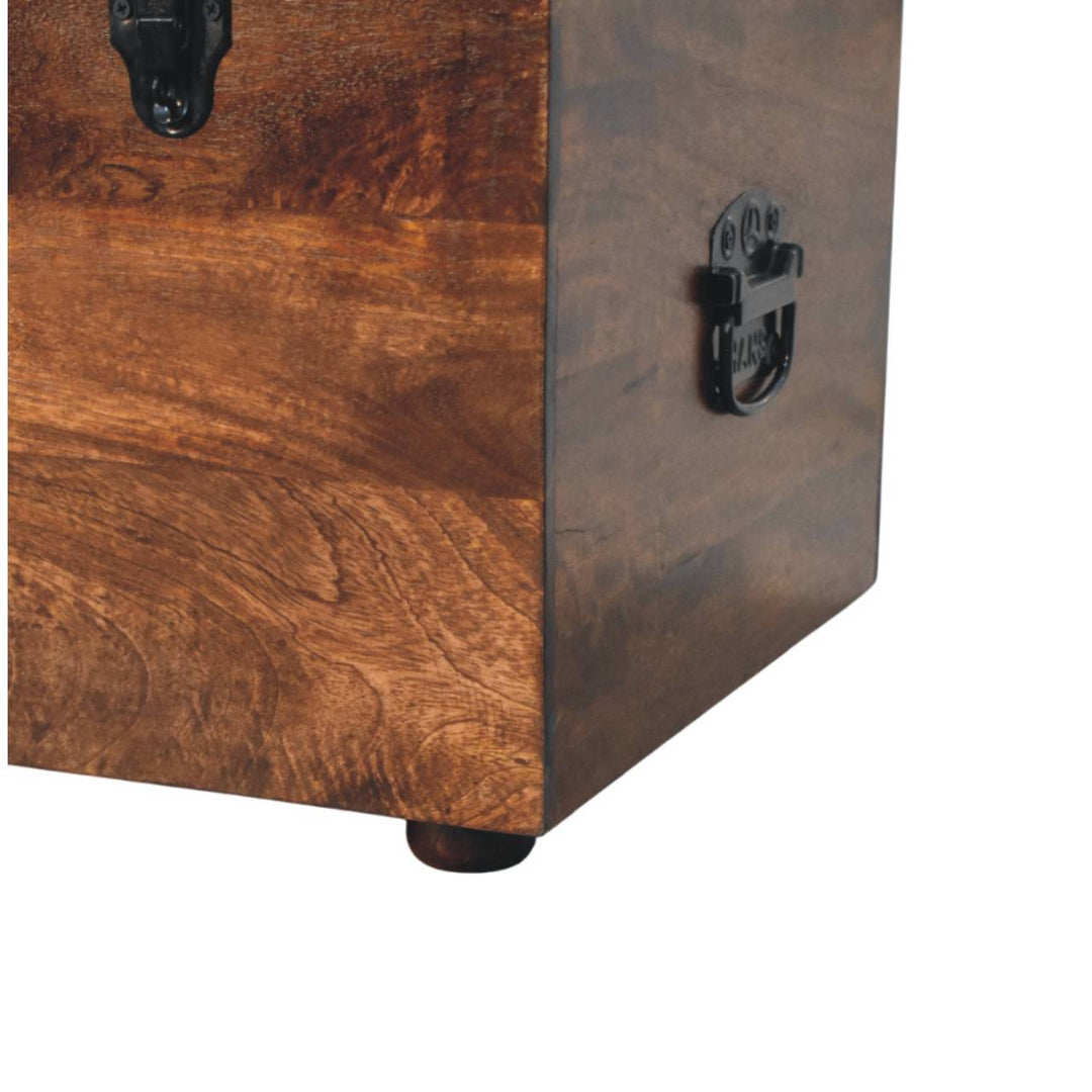 Black Buffalo hide leather Storage Trunk