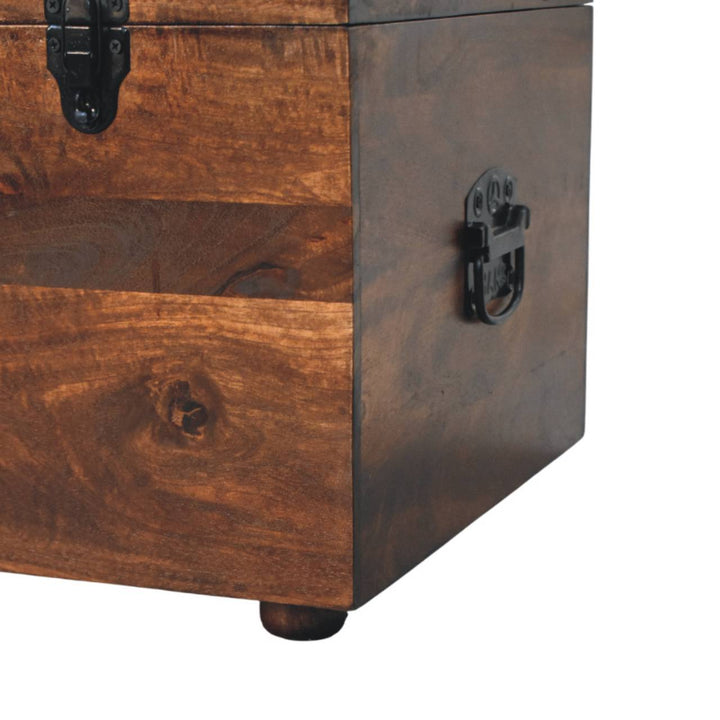 Brown Buffalo hide leather Storage Trunk