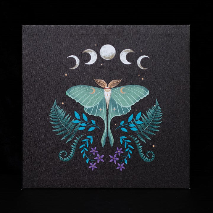 Luna Moth Light Up Canvas Plaque